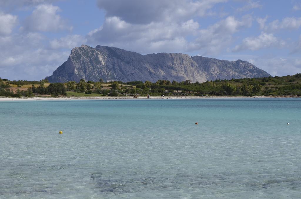 Le Al Centro San Teodoro (Sardinia)